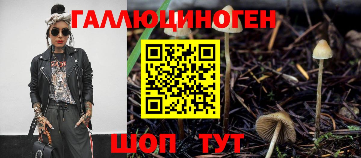 Псилоцибиновые грибы MAGIC MUSHROOMS  Вход с VPN  Новокубанск  Псилоцибиновые грибы мицелий 