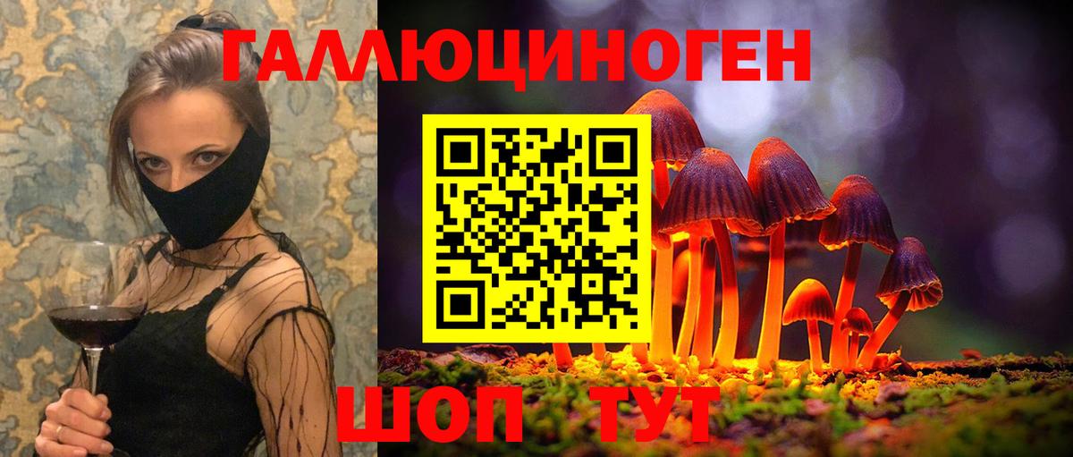 Псилоцибиновые грибы Psilocybe Новокубанск